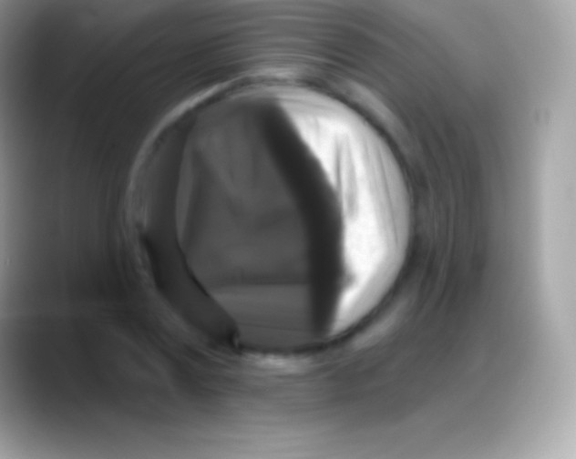 X0000088140779200706041336