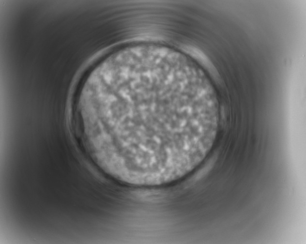 X0000088140780200706041336