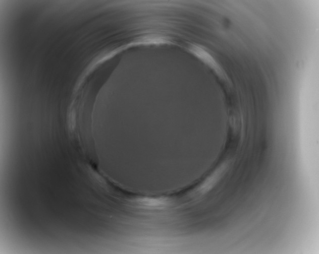 X0000088140781200706041336