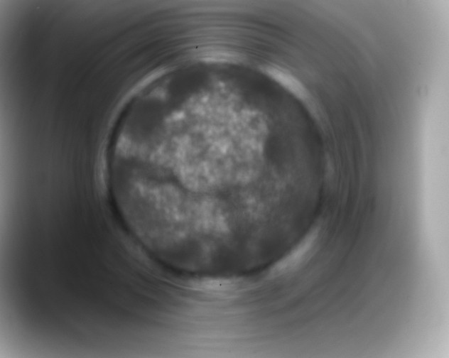 X0000088140782200706041336