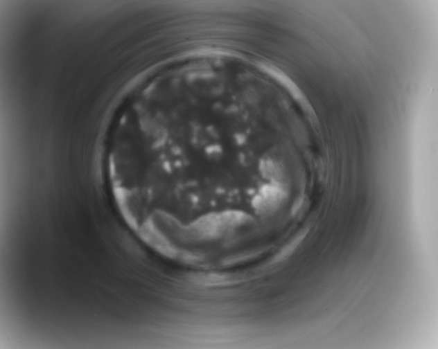 X0000088140783200706041336