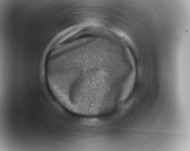 X0000088140784200706041336