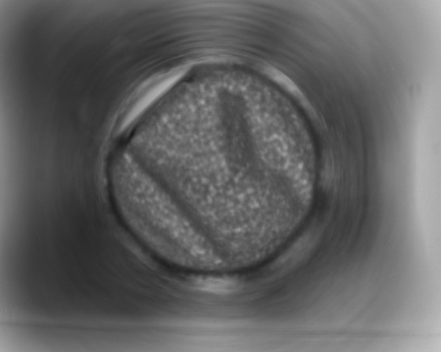 X0000088140786200706041336