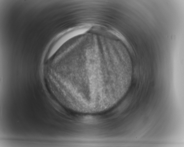 X0000088140787200706041336