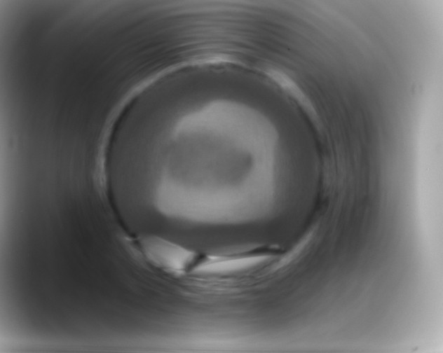 X0000088140789200706041336