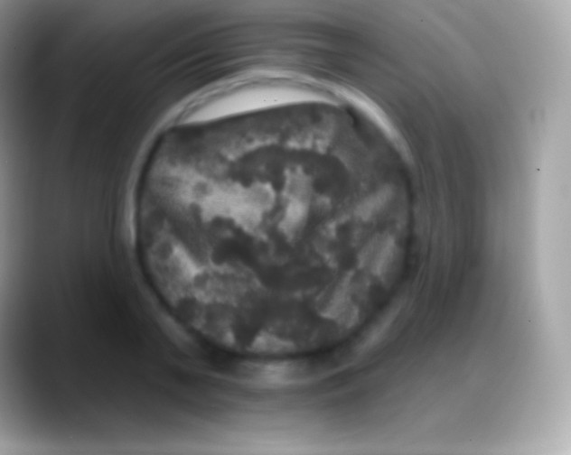 X0000088140791200706041336