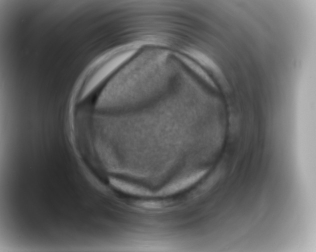 X0000088140792200706041336