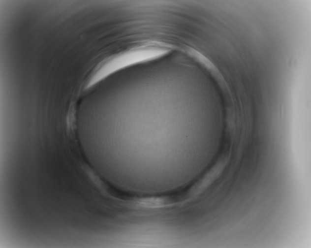 X0000088140793200706041336