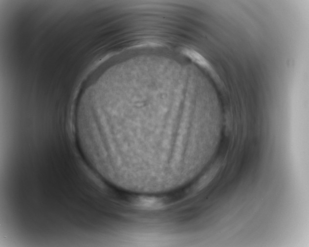 X0000088140794200706041336