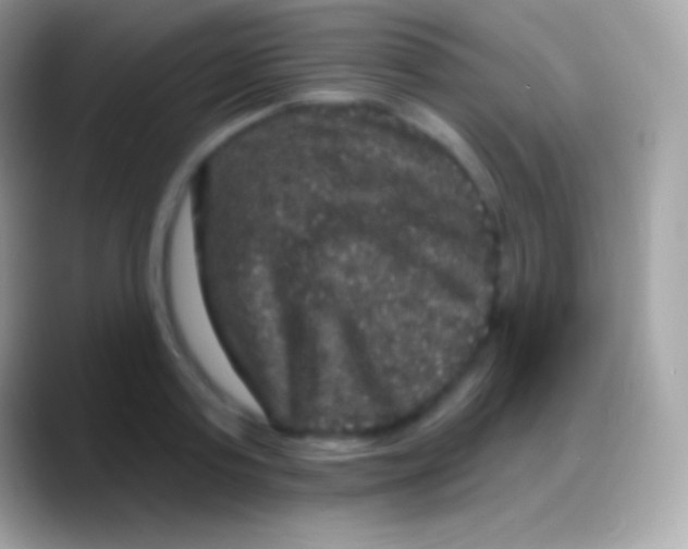 X0000088140795200706041336