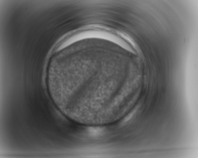 X0000088140799200706041336