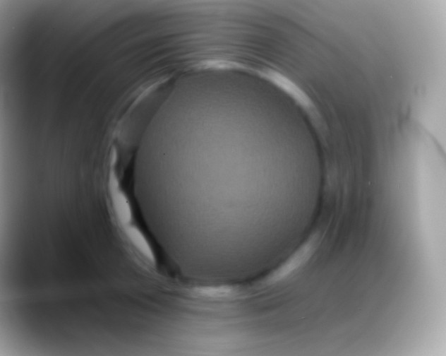 X0000088140801200706041336