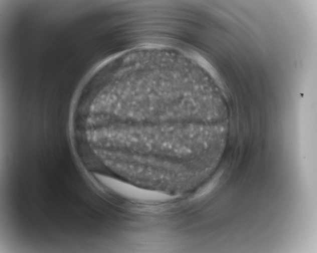 X0000088140803200706041336