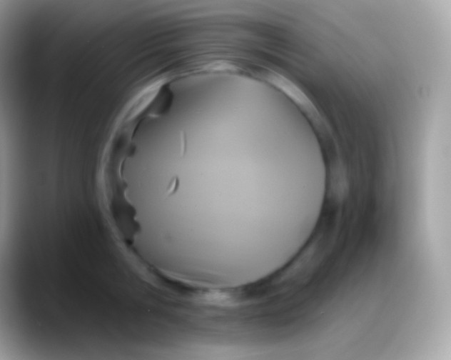 X0000088140806200706041336