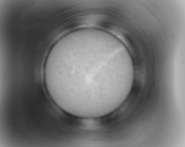 X0000088140807200706041336