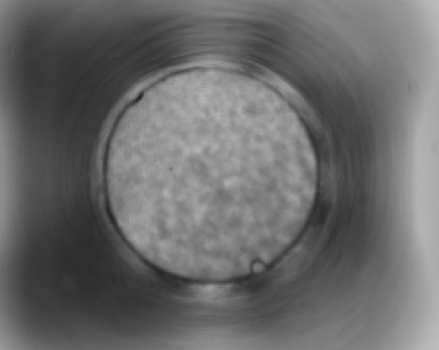 X0000088140808200706041336