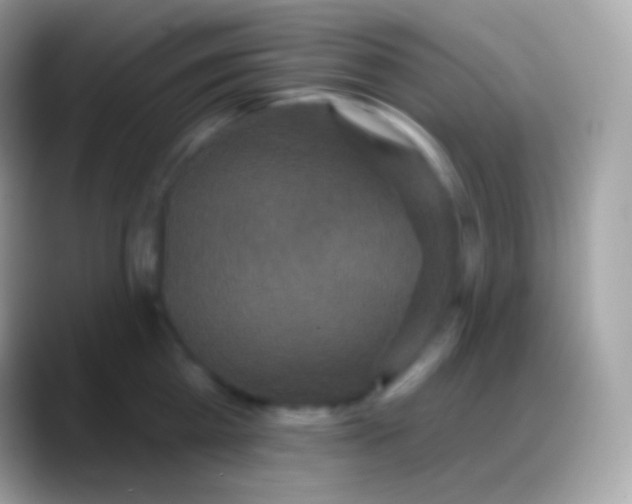 X0000088140809200706041336