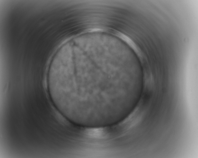 X0000088140810200706041336