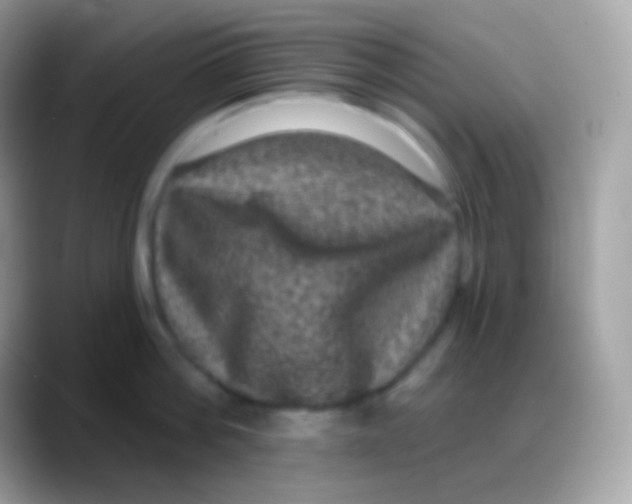 X0000088140812200706041336