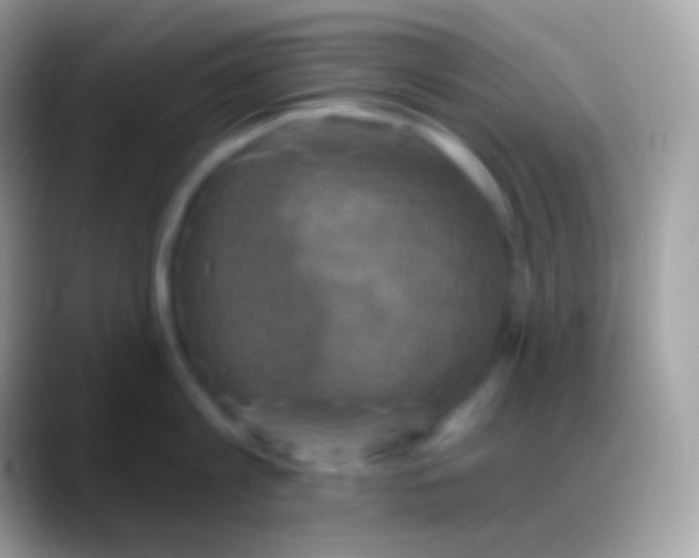 X0000088140813200706041336