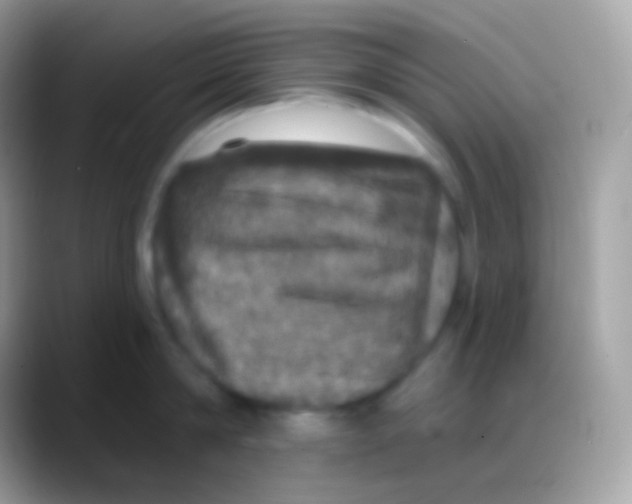 X0000088140814200706041336