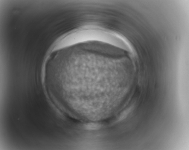 X0000088140815200706041336