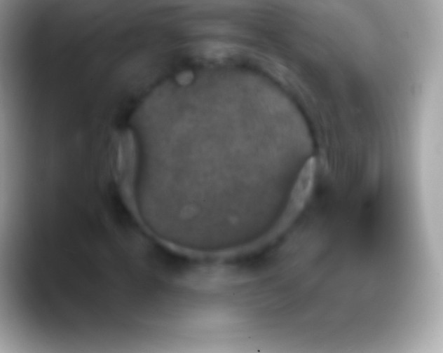 X0000088140820200706041335