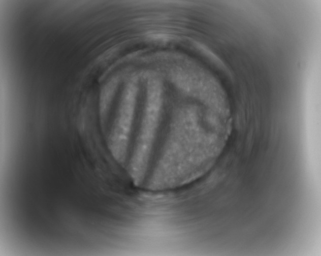 X0000088140821200706041335