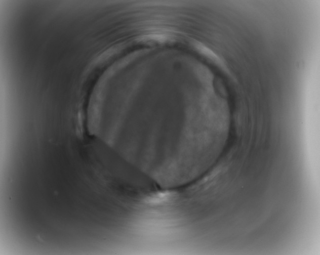 X0000088140822200706041335