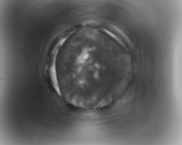 X0000088140823200706041335