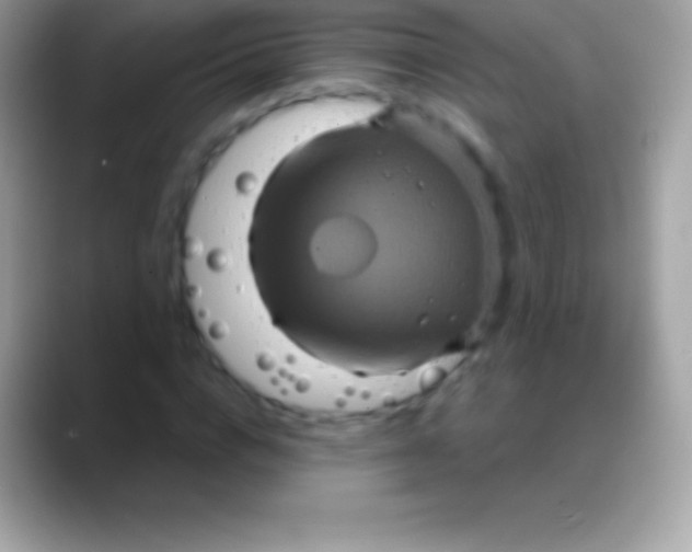 X0000088140824200706041335