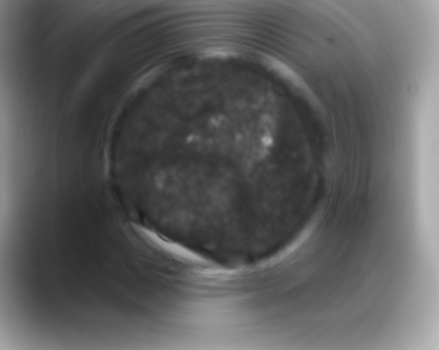 X0000088140825200706041335