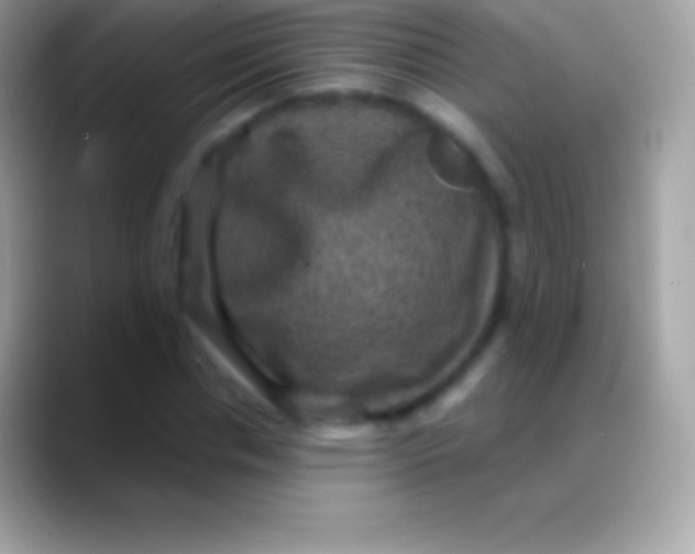 X0000088140826200706041335