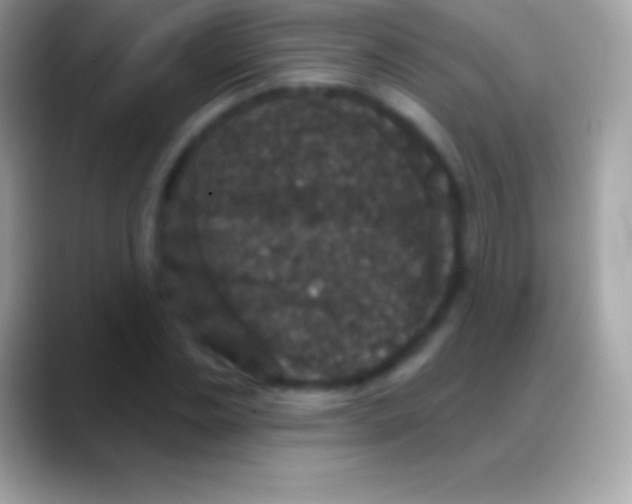 X0000088140829200706041335