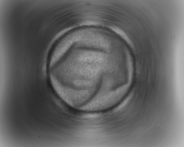 X0000088140830200706041335