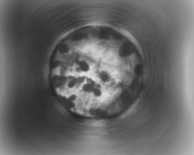 X0000088140831200706041335