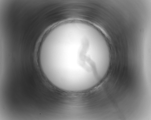 X0000088140832200706041335