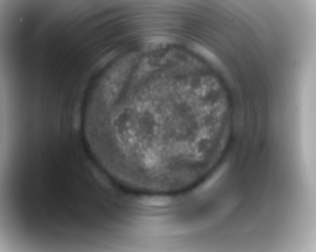 X0000088140833200706041335