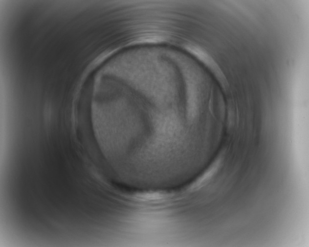 X0000088140834200706041335