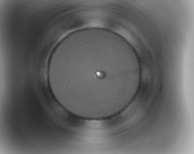 X0000088140836200706041335