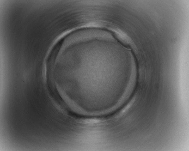 X0000088140838200706041335