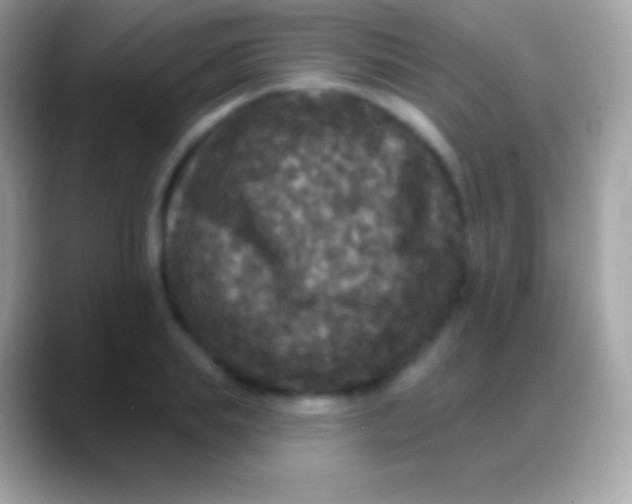 X0000088140839200706041335