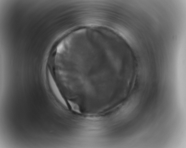 X0000088140840200706041335