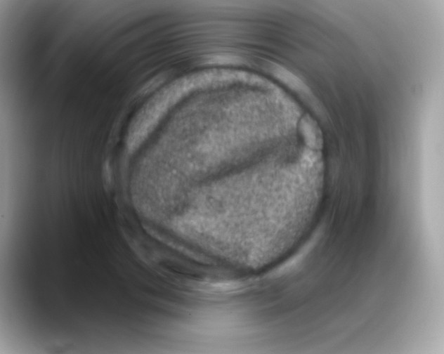 X0000088140841200706041335