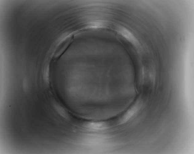 X0000088140842200706041335