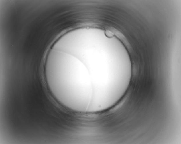 X0000088140844200706041335