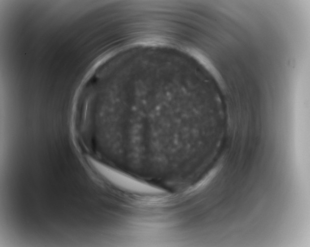 X0000088140845200706041335