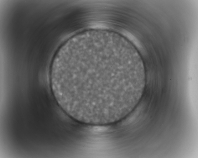 X0000088140848200706041335