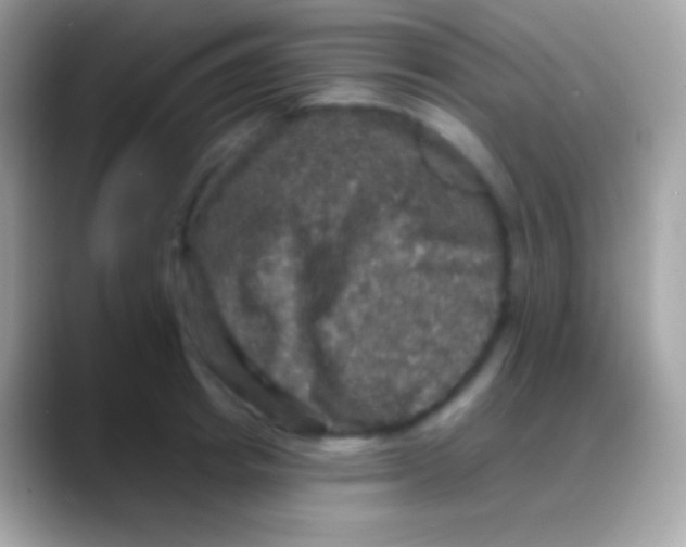 X0000088140849200706041336