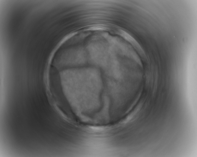 X0000088140852200706041336